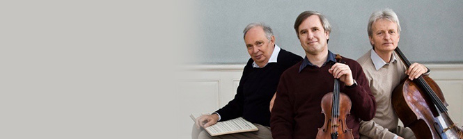 Sala da concerto di livello mondiale a Soletta